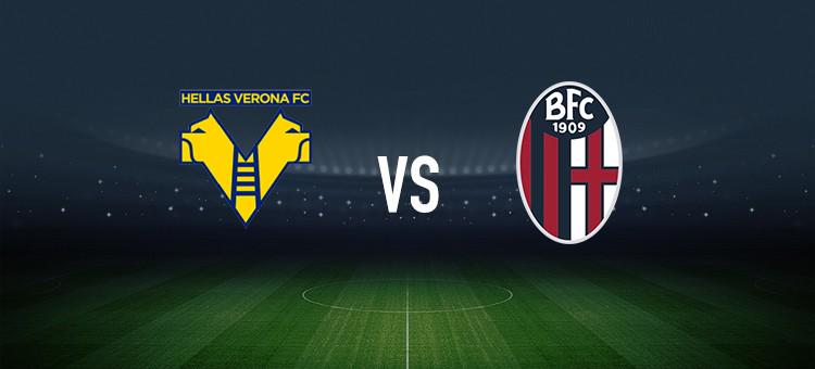 杯预选赛焦 杯预选赛焦