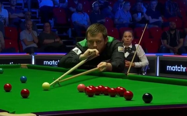 求极高的项 求极高的项