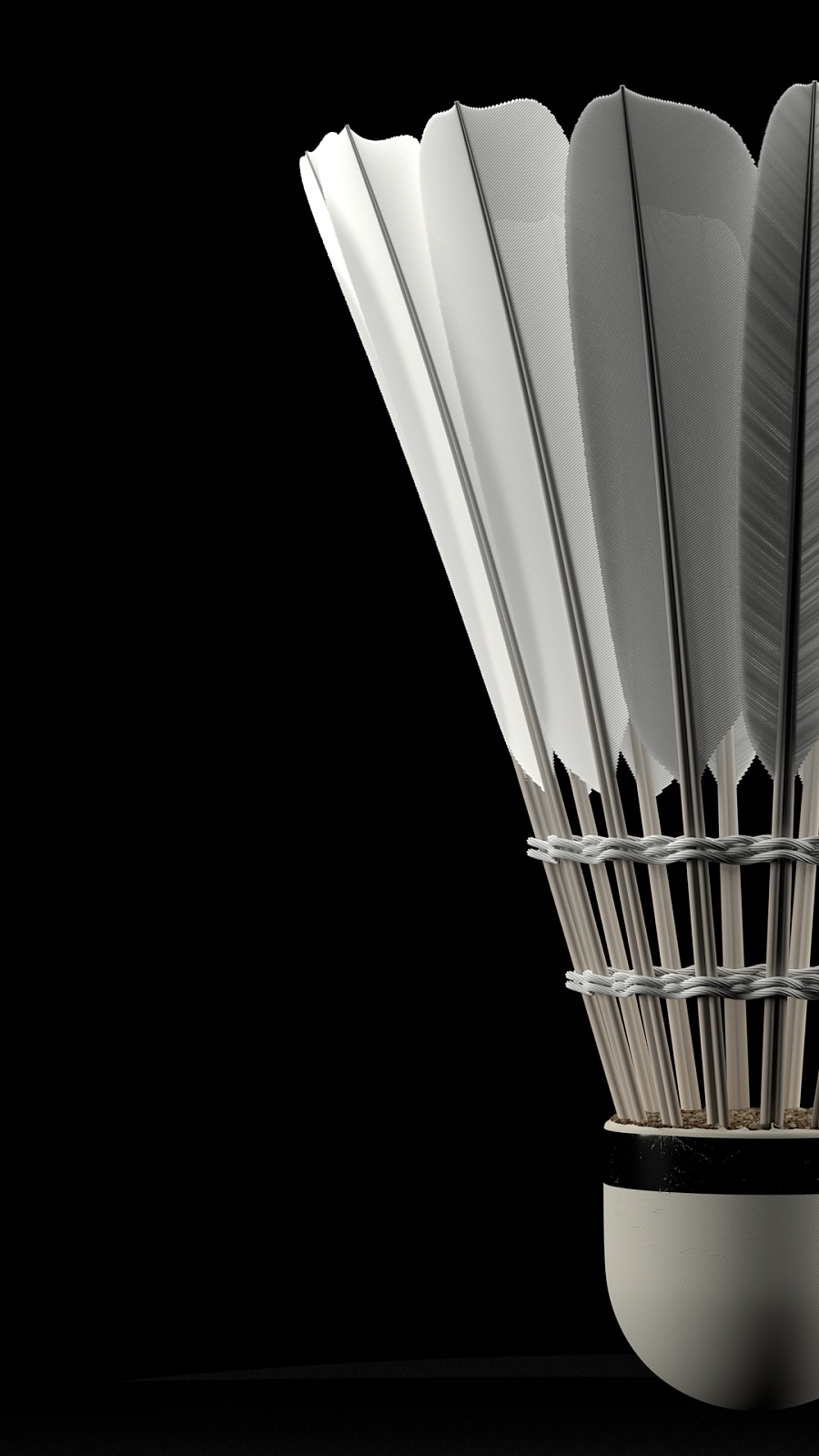 使得莱切的 使得莱切的