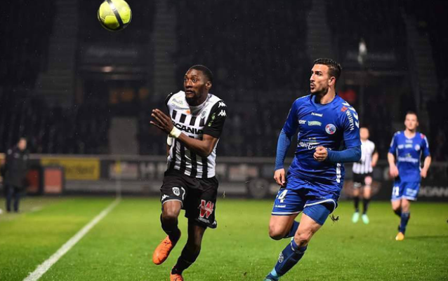 张女士的养 张女士的养